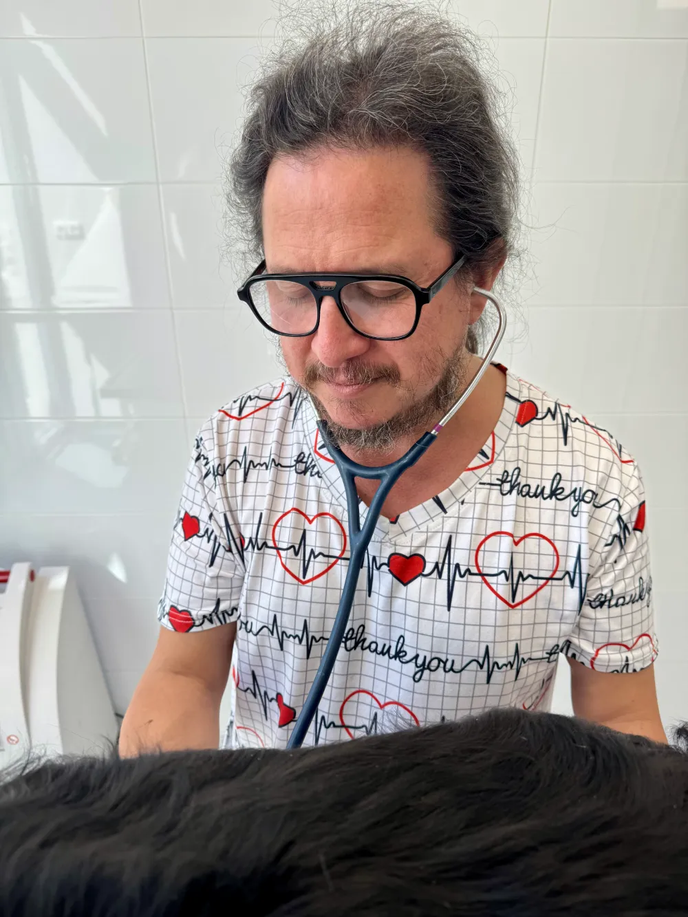 Dr. Agudelo, Limity klinické auskultace a realita v praxi | Veterinární klinika Medipet Zlín