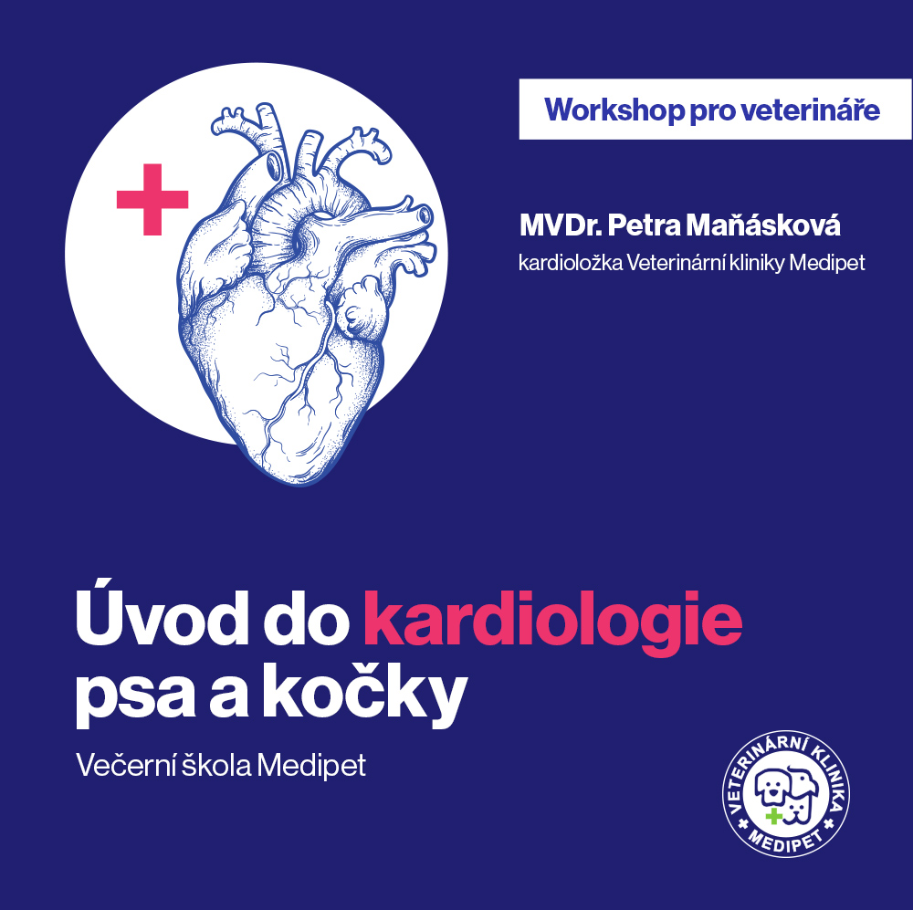 Úvod do kardiologie psa a kočky | Veterinární klinika Medipet Zlín