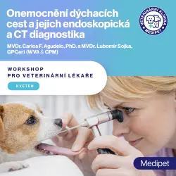 Onemocnění dýchacích cest a jejich endoskopická a CT diagnostika | Veterinární klinika Medipet Zlín