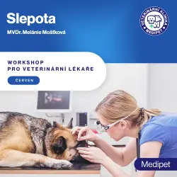 Slepota | Veterinární klinika Medipet Zlín