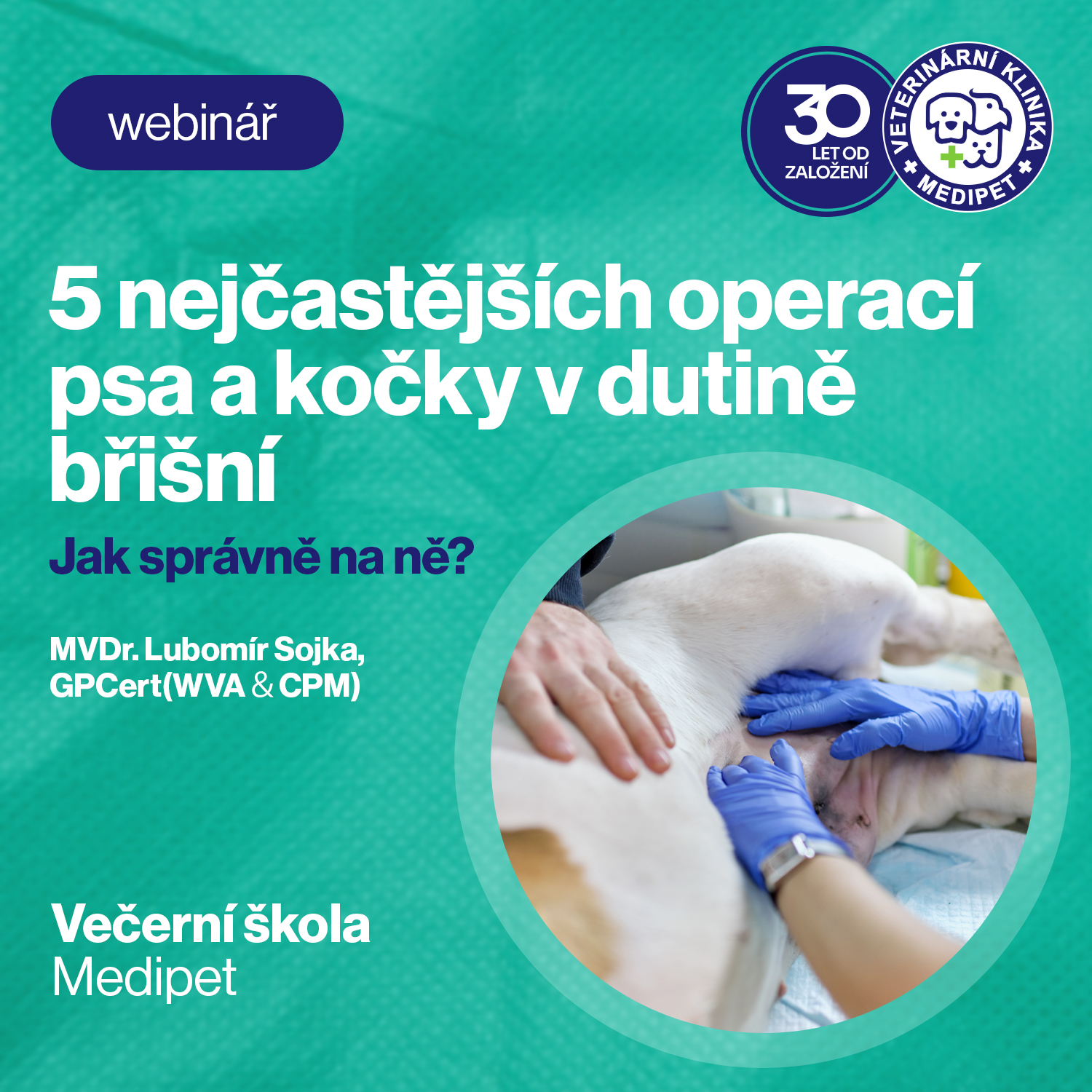 5 nejčastějších operací psa a kočky v dutině břišní - Jak správně na ně? | Veterinární klinika Medipet Zlín