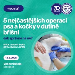 5 nejčastějších operací psa a kočky v dutině břišní - Jak správně na ně? | Veterinární klinika Medipet Zlín