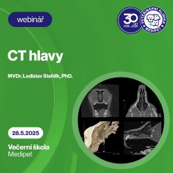 CT hlavy | Veterinární klinika Medipet Zlín