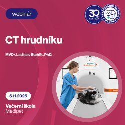 CT hrudníku | Veterinární klinika Medipet Zlín