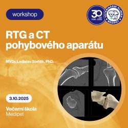 RTG a CT pohybového aparátu. | Veterinární klinika Medipet Zlín