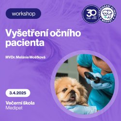 Vyšetření očního pacienta | Veterinární klinika Medipet Zlín