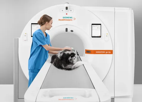 CT vyšetření pohybového aparátu | Veterinární klinika Medipet Zlín