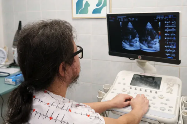 Veterinární kardiologie, MVDr. Carlos Fernando Agudelo Ramírez, PhD. | Veterinární klinika Medipet Zlín